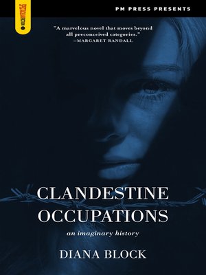 cover image of Clandestine Occupations